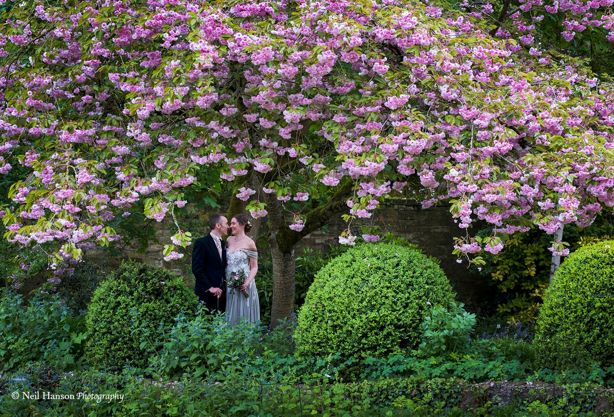 Bride and Groom on their wedding day under spring blossom at The Bay Tree Hotel